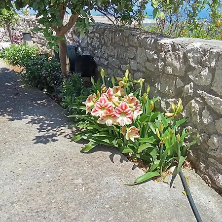 Holiday home Sofias