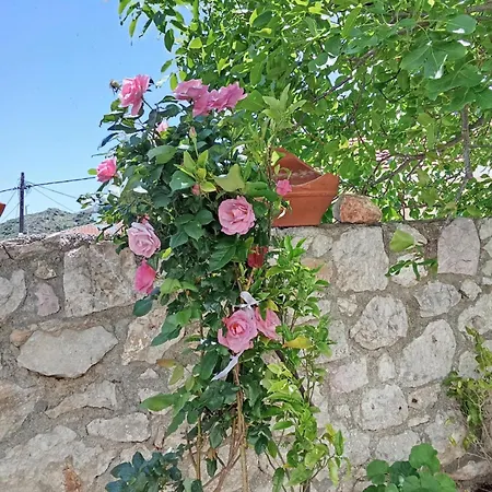 Sofias Koroni (Messinia)