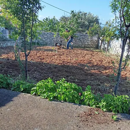 Sofias * Koroni (Messinia)